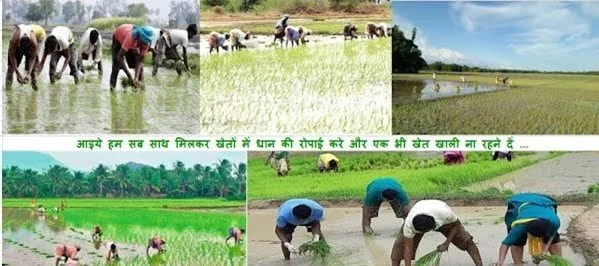 Logo of ayogoeeth.com